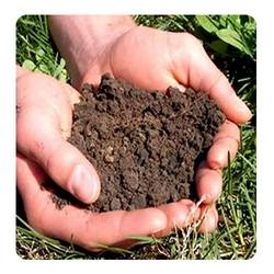 Manufacturers Exporters and Wholesale Suppliers of Soil Testing Services Sonipat Haryana